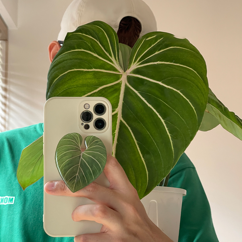 Bonito brilhante popular simul - Tech Accessories Phone avaliação e preço
